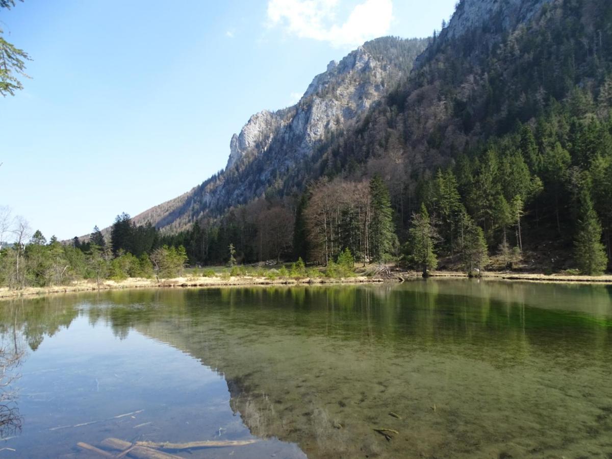 Appartement Frieda